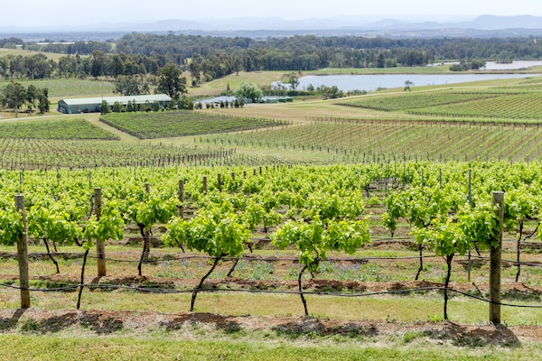hunter_valley