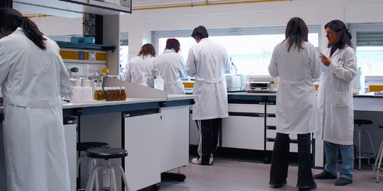 people-working-b.jpg
