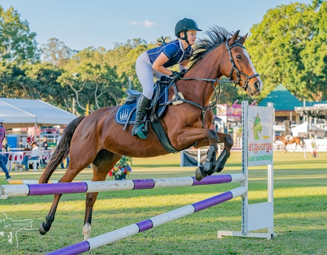 Brookfield-Show-Horses