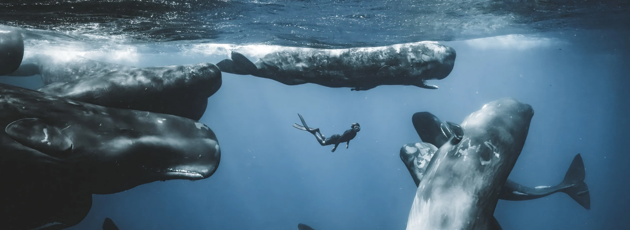 Screenshot 2025-12-09 174738