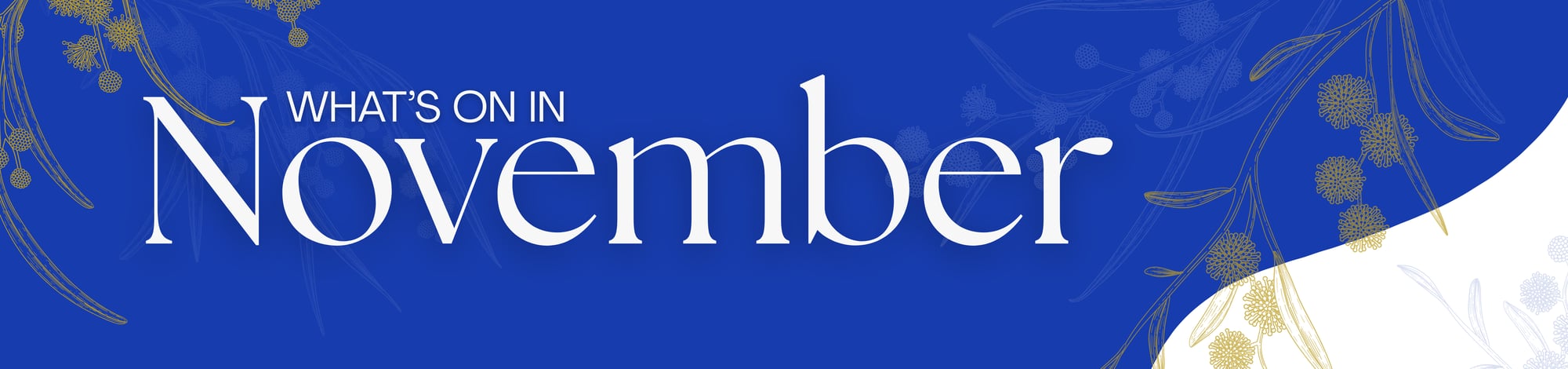 Web Banner Web Banner