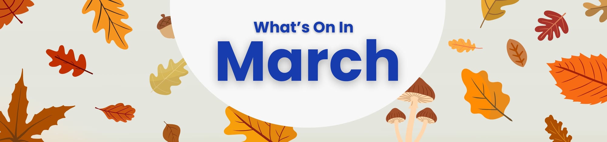 Web_Banner_March_2026_Whats_On Web_Banner_March_2026_Whats_On