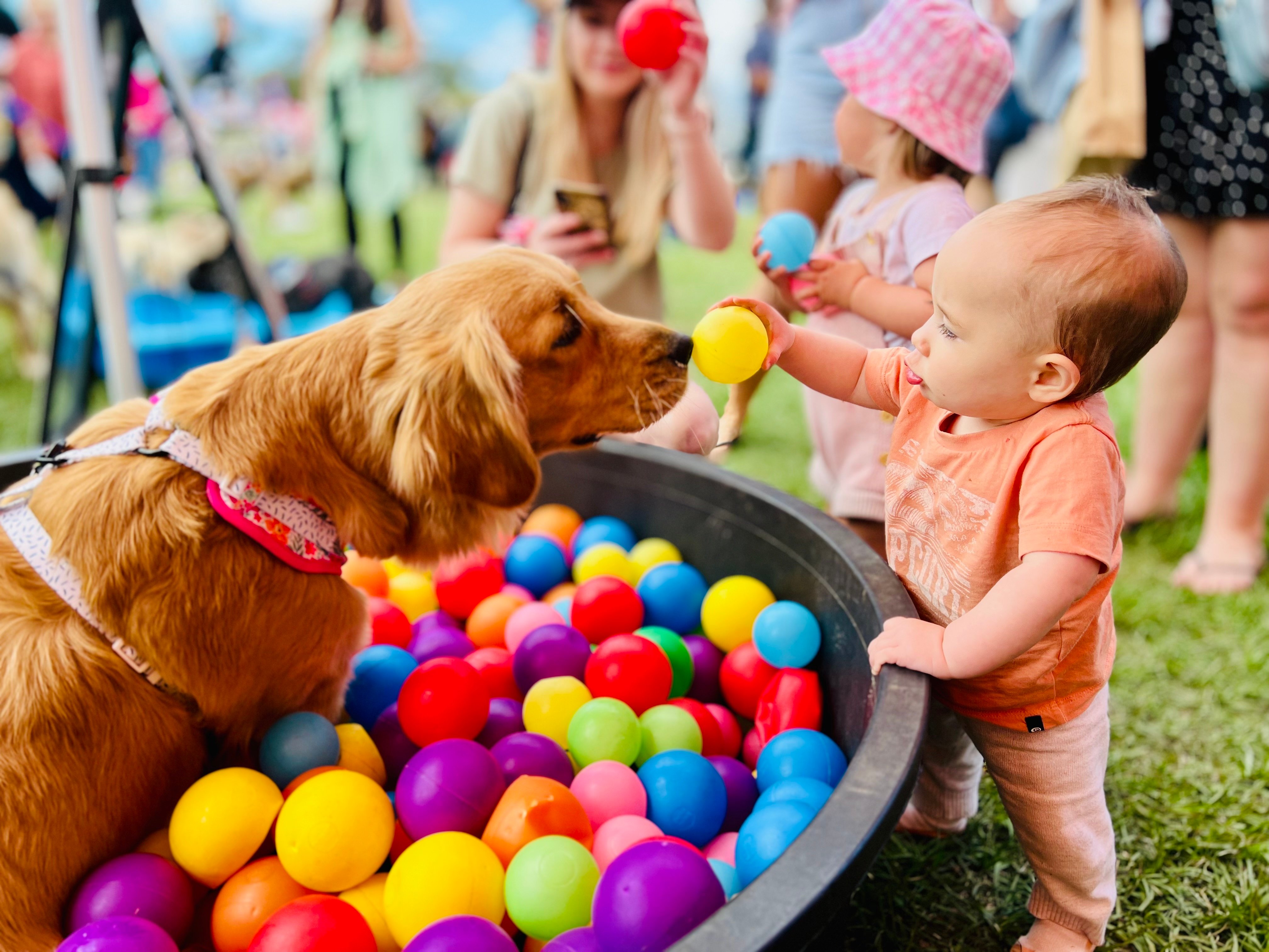 ballpitbaby