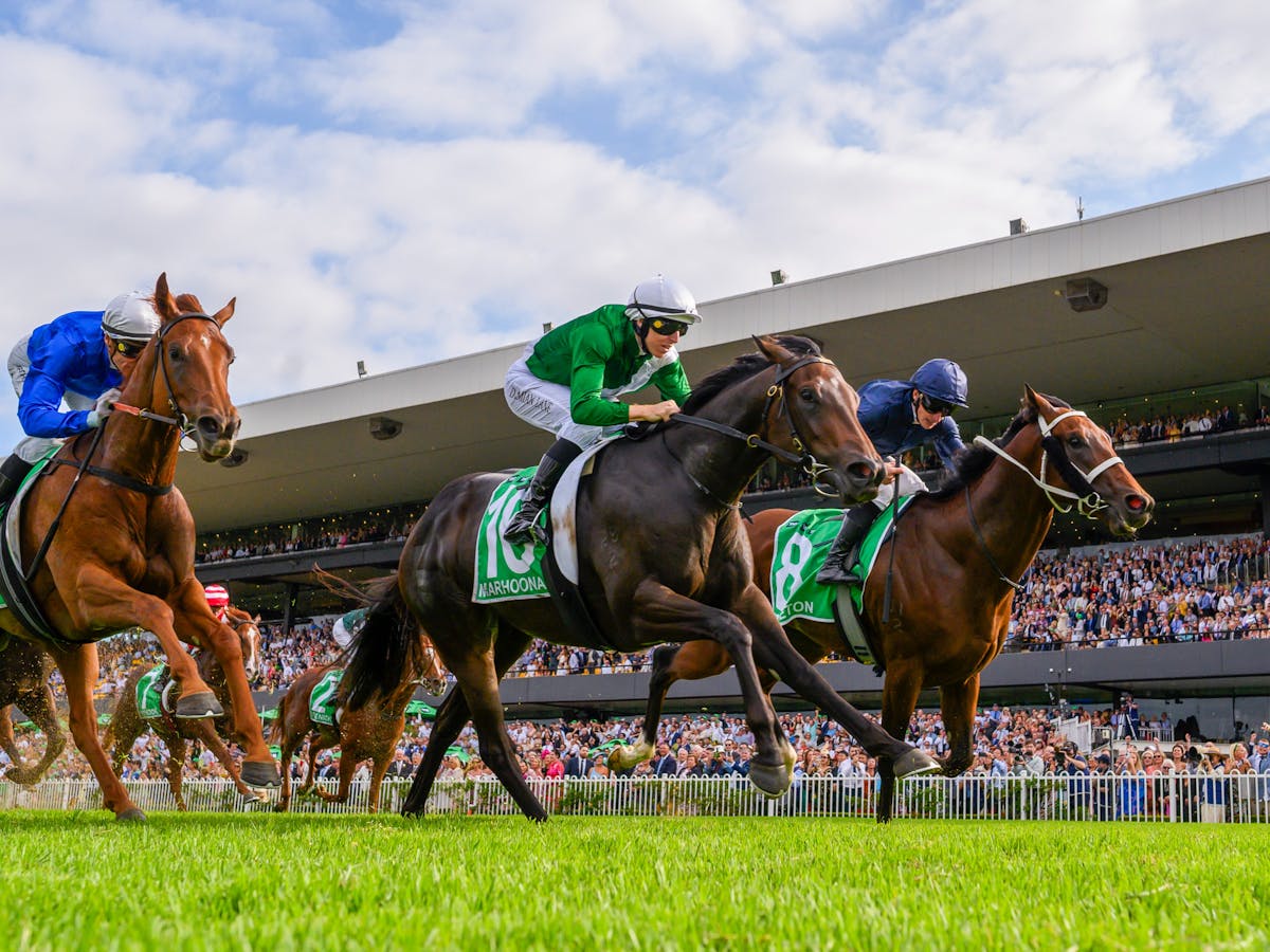 ee8969d68e2b6a3172605b00adb68cd7