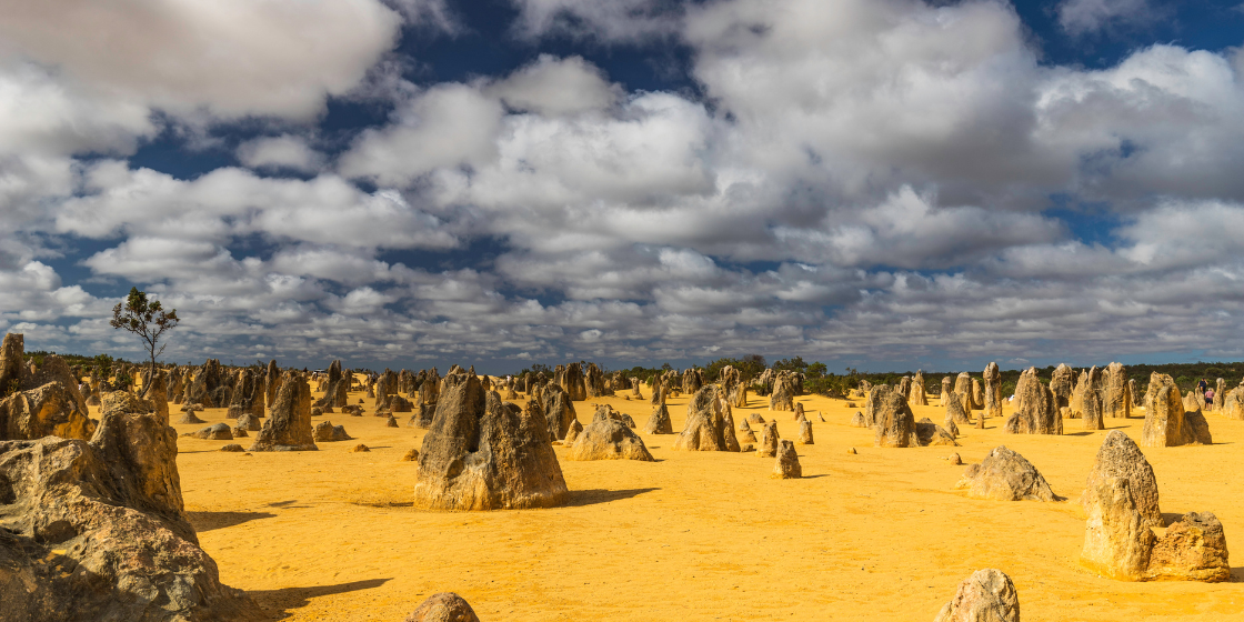 the pinnacle desert perth (1)